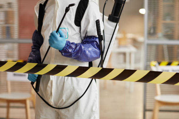 Professional Sewage Cleanup technician working in Clearfield, PA